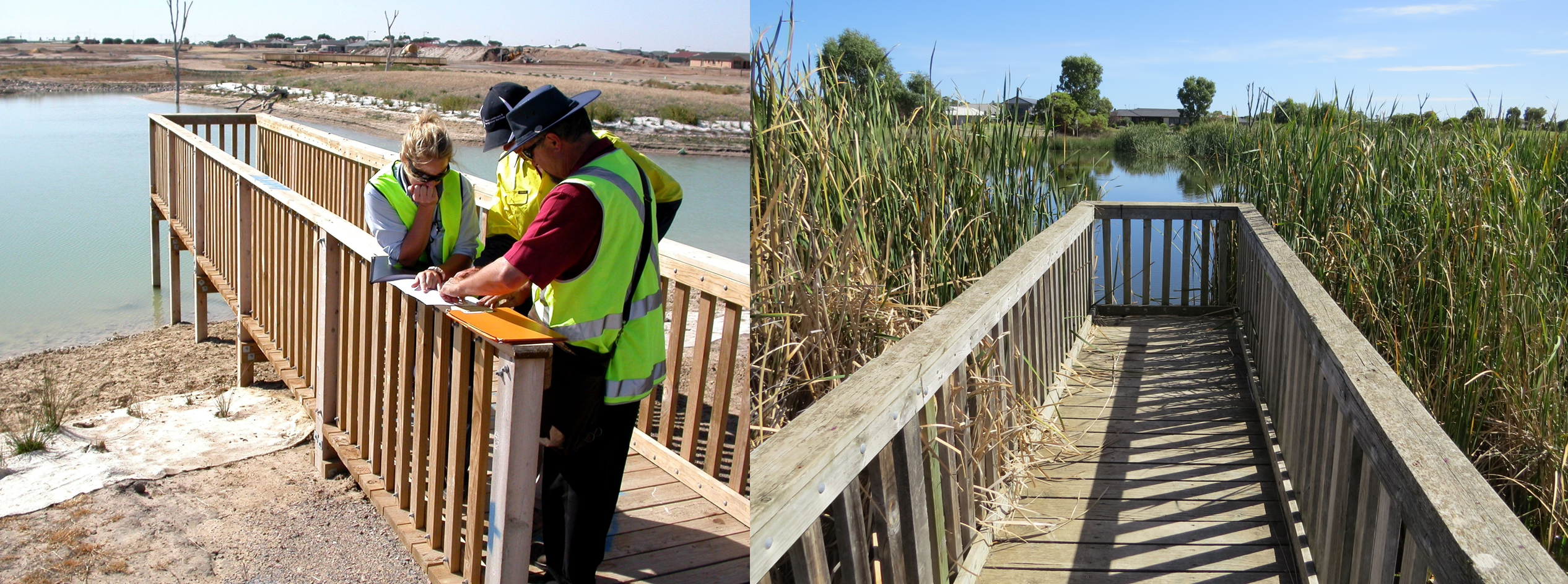 Comparison of bald wetlands following construction, 2008 with thick reed establishment, 2020
