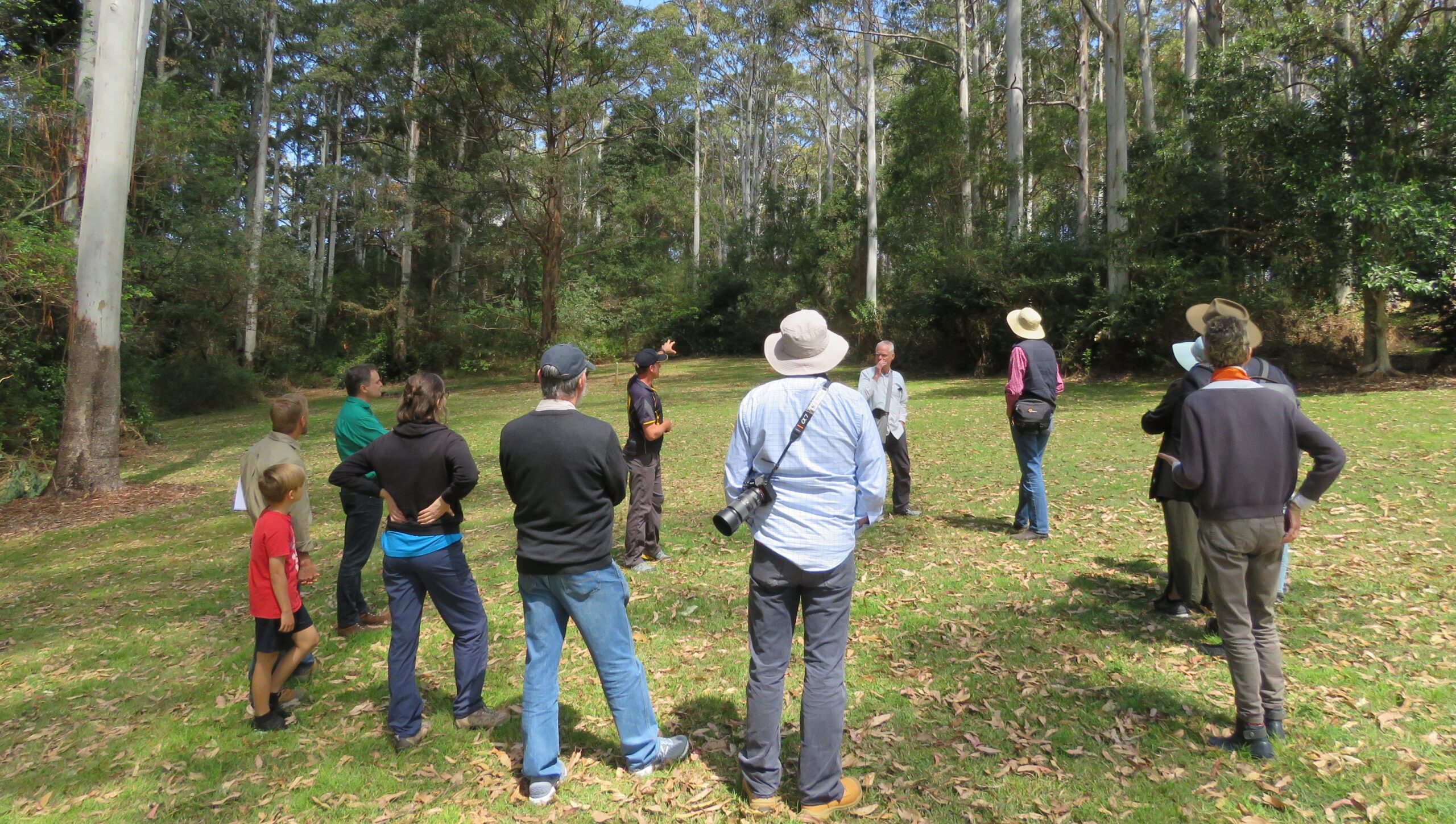Photo of a circle of people looking over to tall trees and bushland