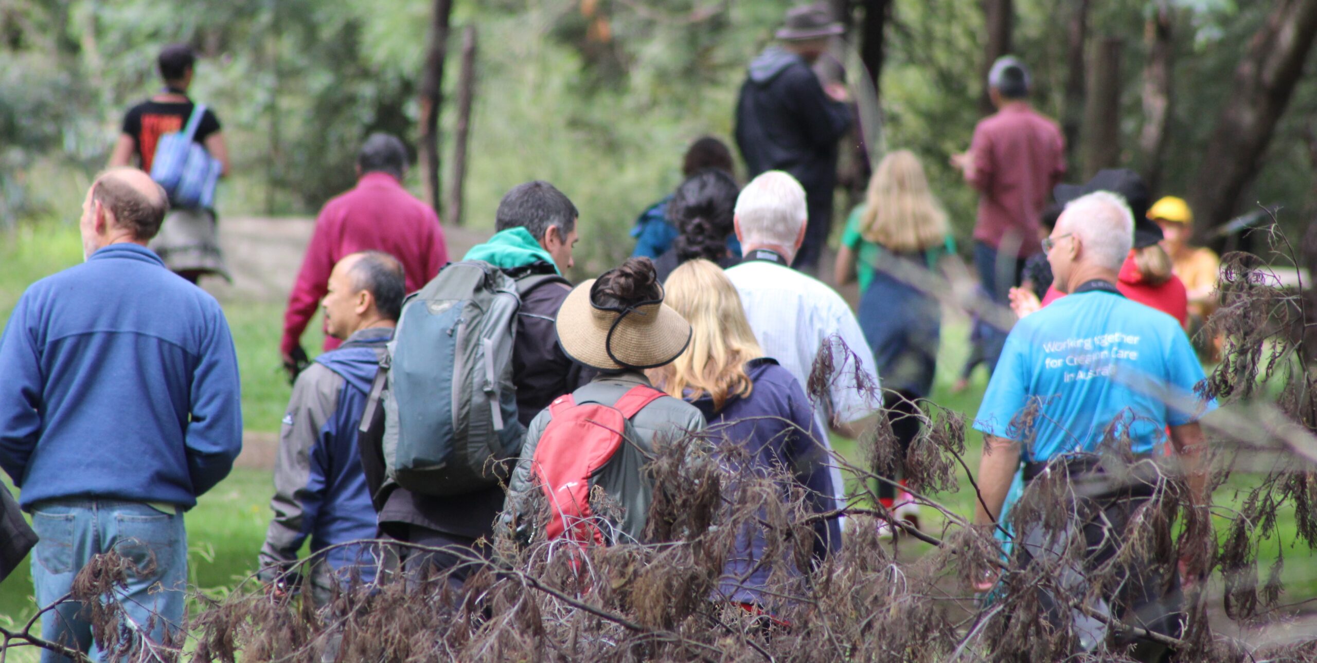 A crowd of people walking through the bushland at the Yea wetlands event.