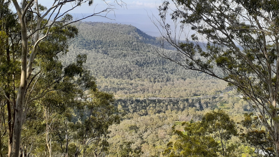 Toowoomba escarpment looking down on Redwood Park