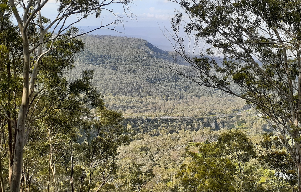 Toowoomba escarpment looking down on Redwood Park